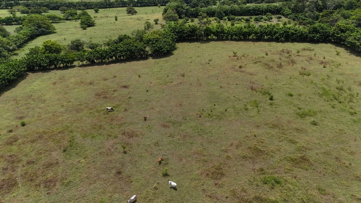 Predio rural visto desde un dron