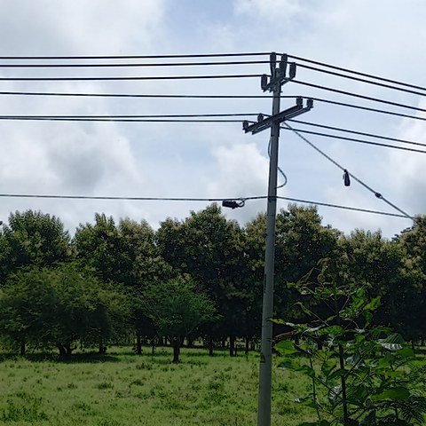 Línea trifásica de media tensión con otros cables en el mismo poste
