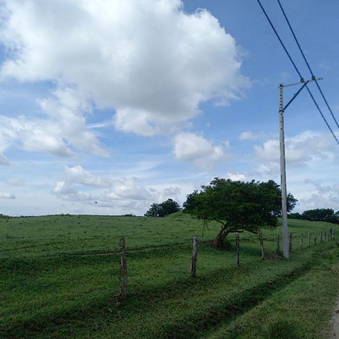 Línea de dos conductores