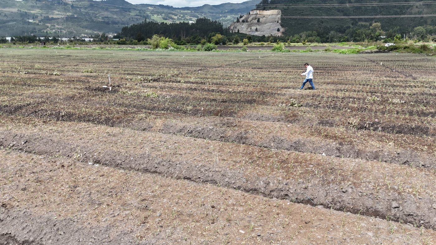 Terreno plano y poco arborizado