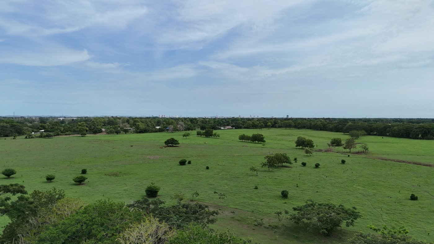 Predio plano y poco arborizado